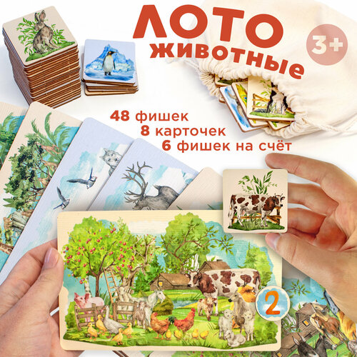 Настольная игра лото Алфавит Nobikum