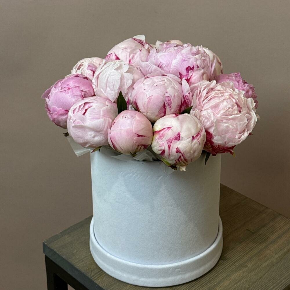 Букет "Пионы Сара Бернар" в коробке "PROTEA-Studio Цветов"