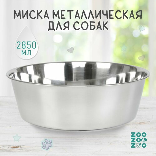 ZooZooZoo Миска для животных металлическая, утяжеленная с нескользящим основанием, 2900мл, 24.4см