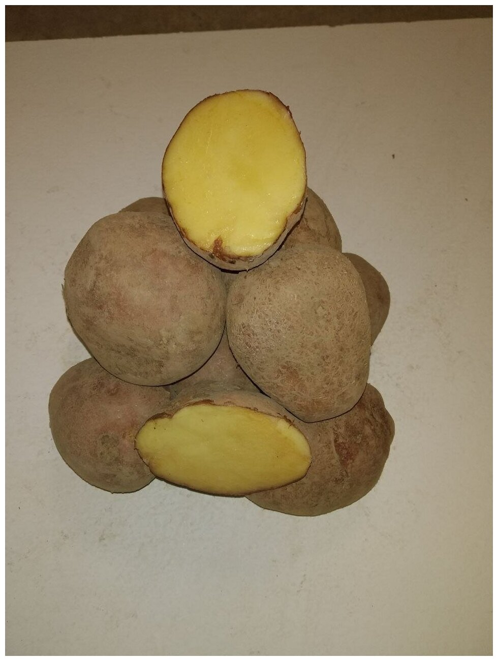 Картофель семенной лапоть клубни 4 кг - фотография № 2