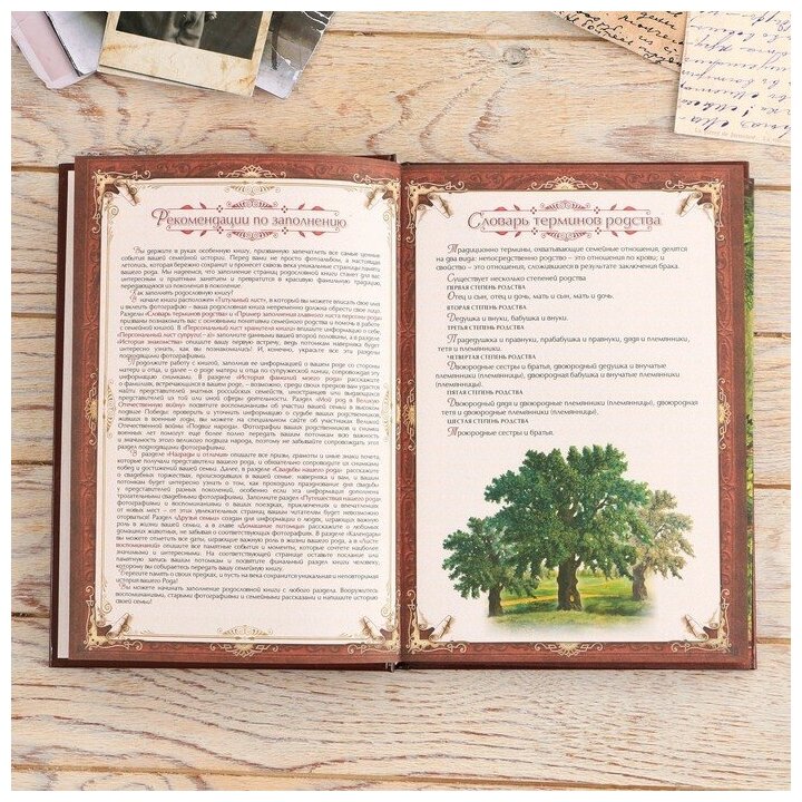 Семейные традиции Родословная книга в шкатулке с пером и чернильницей «Древо», 56 листов, 26 х 24 х 7 см