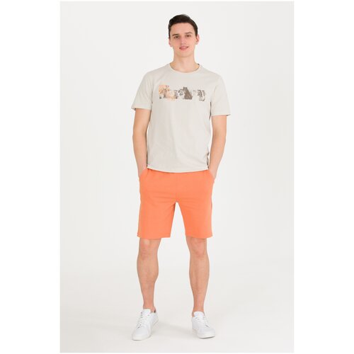 фото Шорты u.s. polo assn. g081sz0os0parmeiy023-vr031-2xl