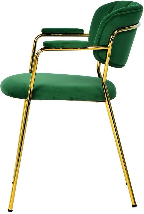 Кресло eirill, велюр, темно-зеленое Bergenson Bjorn - фото №2
