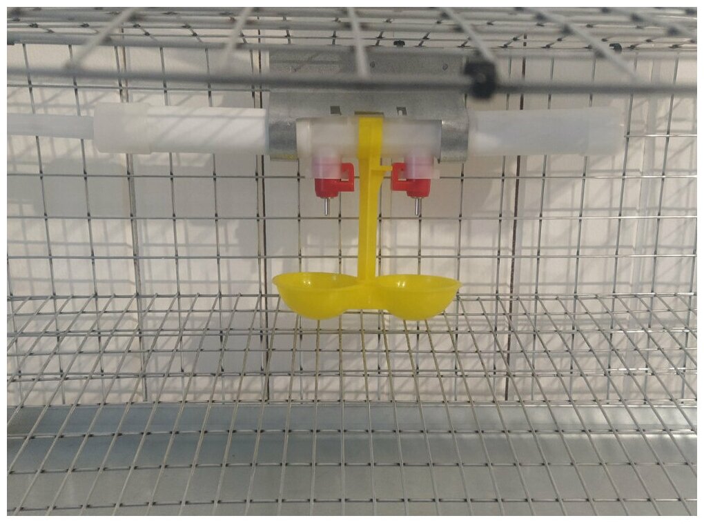 Клетка для перепелов на 15 голов - фотография № 3