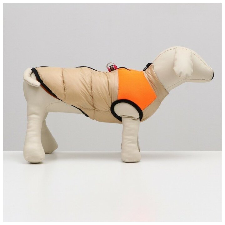 Куртка для собак Sima-land на молнии, размер 10, бежевая с оранжевым (6968354) - фотография № 2