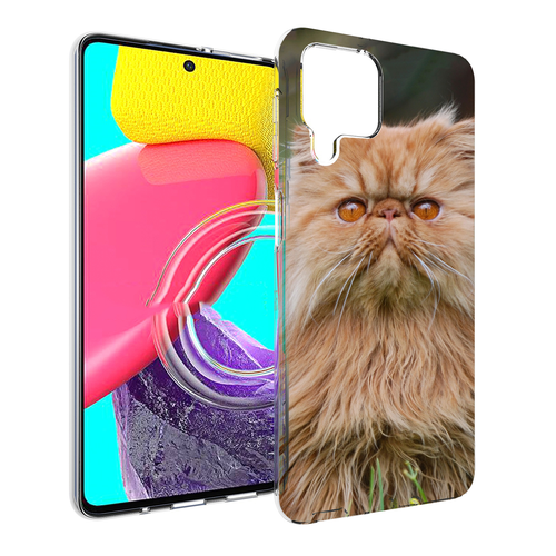 Чехол MyPads кошка персидская для Samsung Galaxy M53 (SM-M536) задняя-панель-накладка-бампер