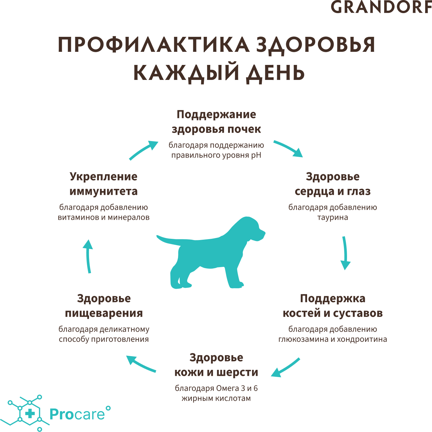 Сухой корм для собак Grandorf Ягнёнок с индейкой Щенки 1 уп. х 1 шт. х 3 кг - фотография № 8