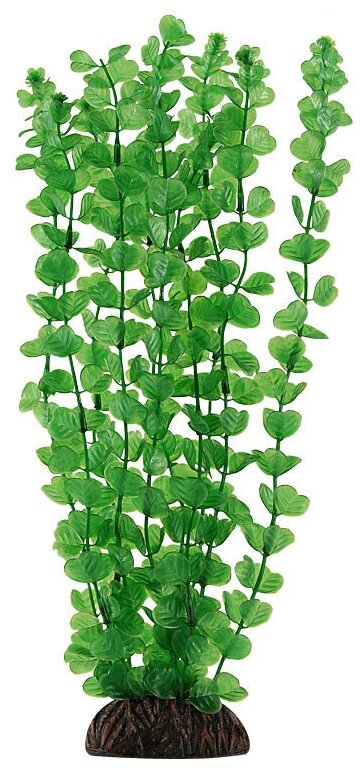 Растение Бакопа зеленая, 300мм, 2 шт.