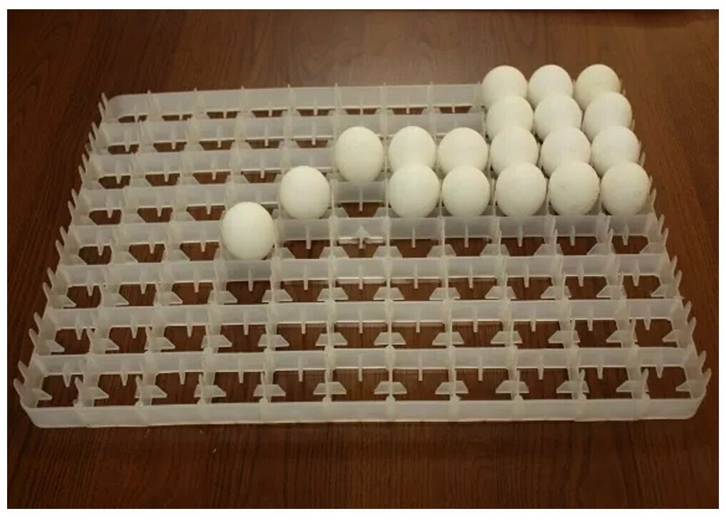 Лоток для куриных яиц к инкубаторам АИ - фотография № 2