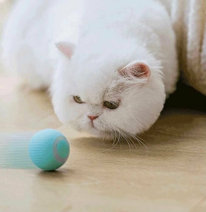 Мячик для кошек и собак, котят интерактивная игрушка, дразнилка, развивающая игрушка для кота, умный шарик, USB зарядка