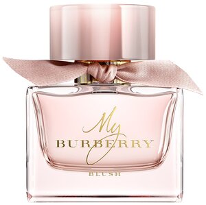 Burberry clearance blush price