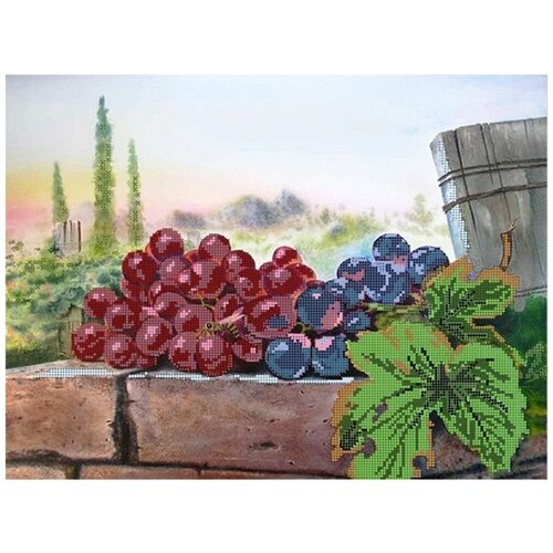 Рисунок на канве Астрея (Глурия) Виноград, 40x30 см