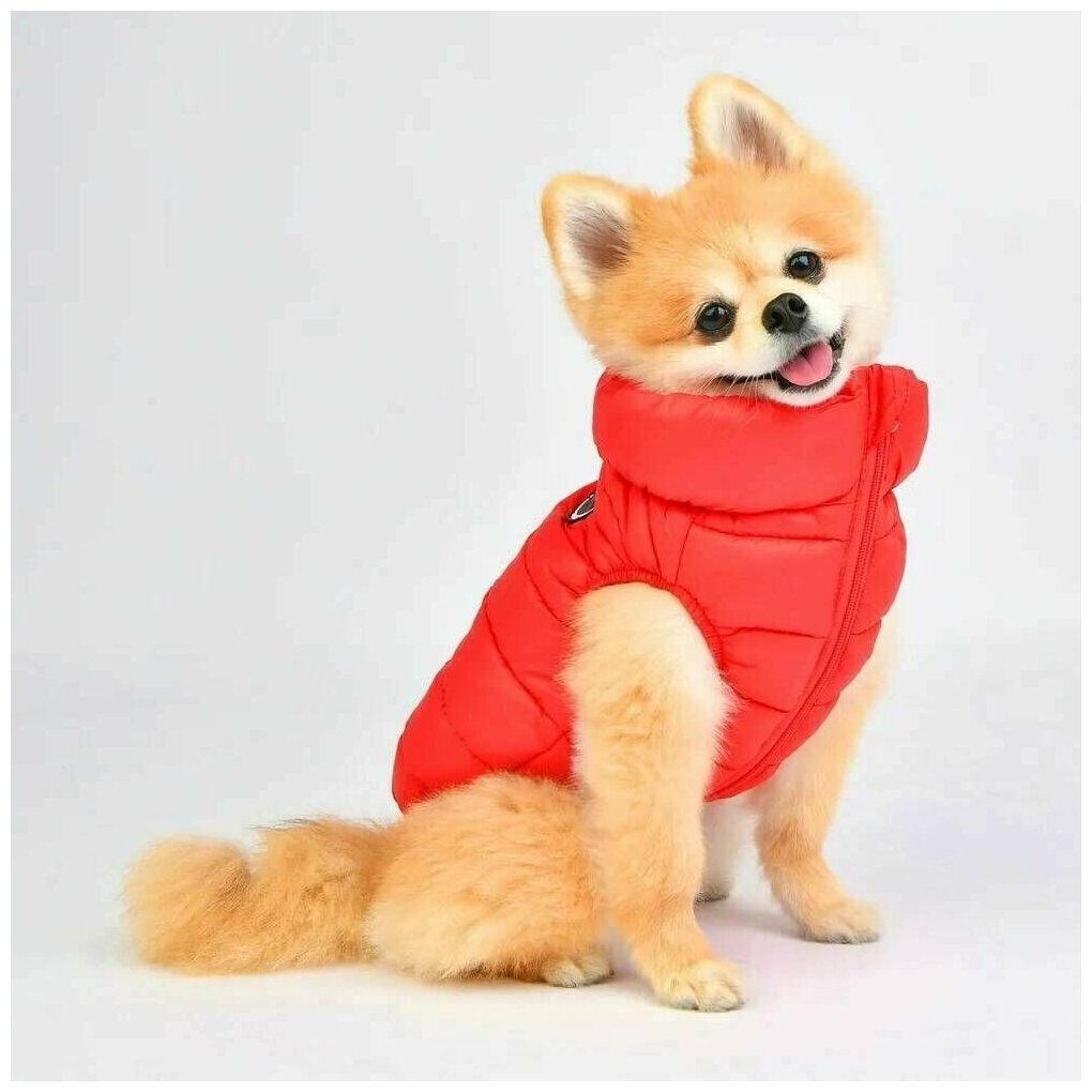 PUPPIA Жилет для собак утеплённый р-р S "Ultra Light Vest A", красный - фотография № 1