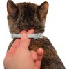 Фото #11 Elanco ошейник от блох и клещей Форесто инсектоакарицидный для котят и кошек