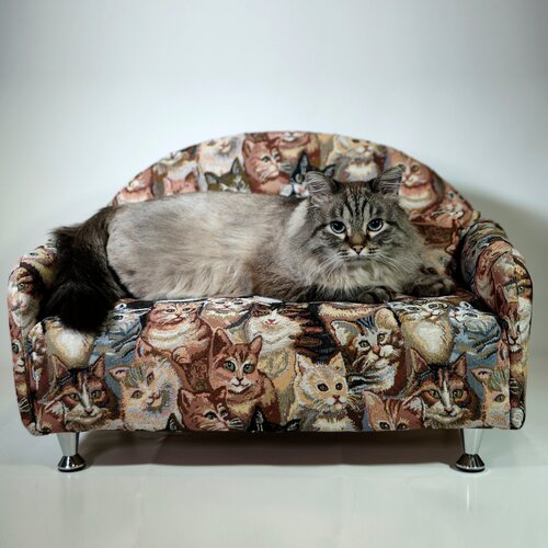 Диван-лежак для кошек и собачек, зоодиван S, 580 * 380 * 380, Persik, Веселый горошек