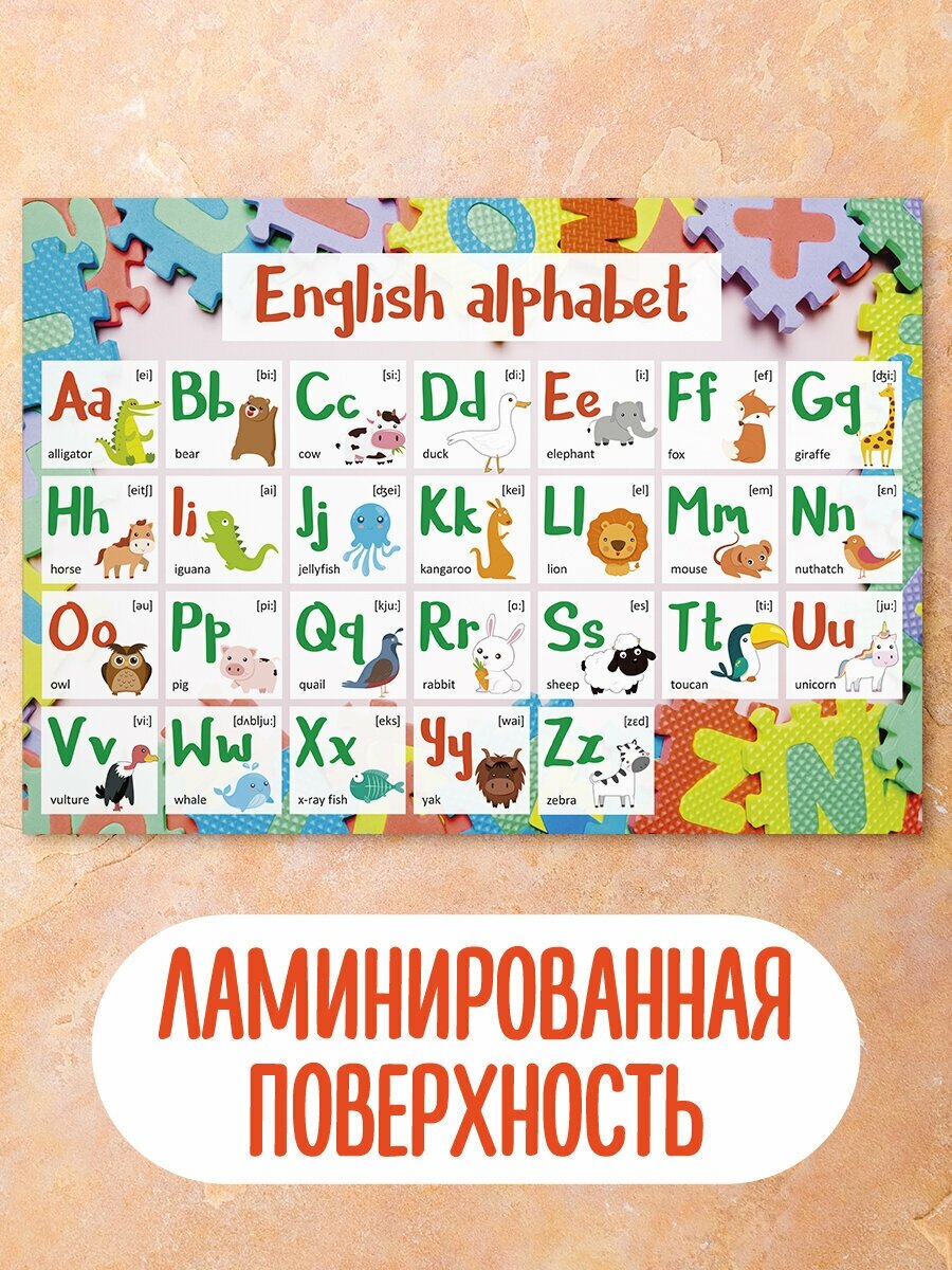 Обучающий плакат/обучающий материал/школьные плакаты/английский алфавит