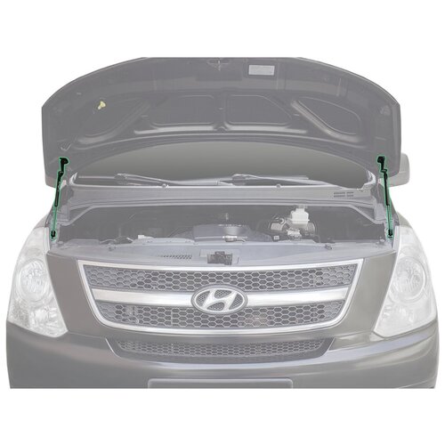 Pneumatic KU-HY-ST00-00 амортизаторы капота