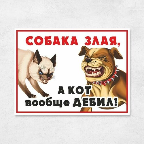 Знак "Злая собака, а кот вообще .", 33х25 см, ПВХ