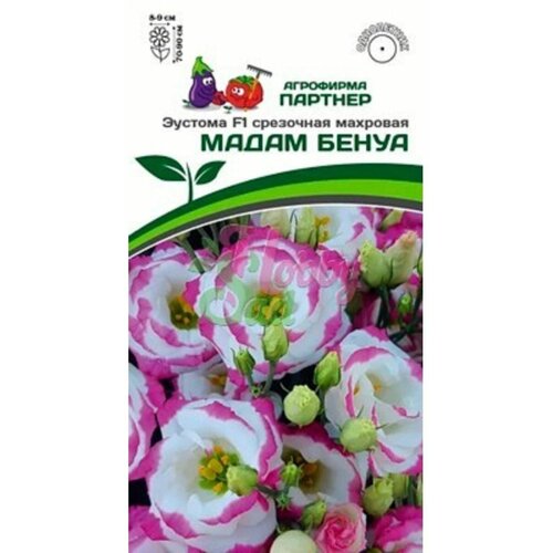 Семена Эустомы крупноцветковой срезочной махровой Мадам Бенуа F1 розовая пикоти (5 семян)