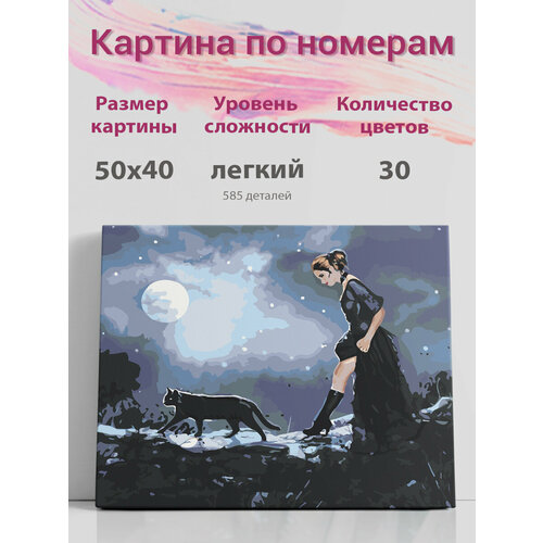 Картина по номерам на холсте с подрамником, Ведьма и Черный кот, 40х50 см