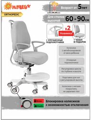 Растущее детское кресло для дома ErgoKids Y-507 KG Armrests (арт. Y-507 ARM / KG) с подлокотниками для обычных и растущих парт + чехол