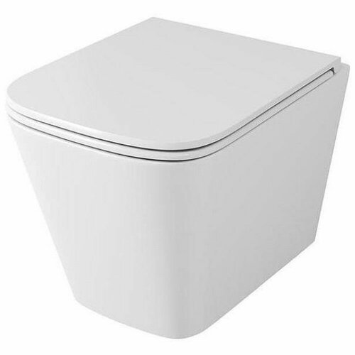 Унитаз подвесной OWL Vatter Ruta-H mini TOWLT190403S безободковый торнадо унитаз подвесной gustavsberg hygienic flush wws безободковый с сиденьем hygienic flush 5g84hr01