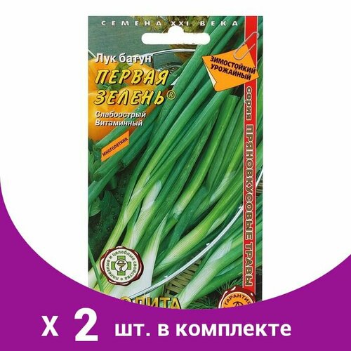 Семена Лук Батун 'Первая зелень', 0,3 г (2 шт)