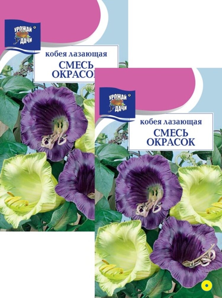 Семена Кобея Смесь окрасок (03 г) 2 пакета Урожай Удачи однолетник