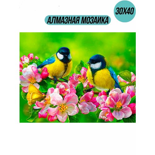 Алмазная мозаика, картина стразами 30х40 Весенние синички
