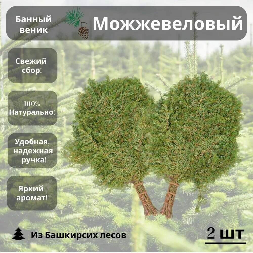 Веник для бани можжевеловый 2 штуки