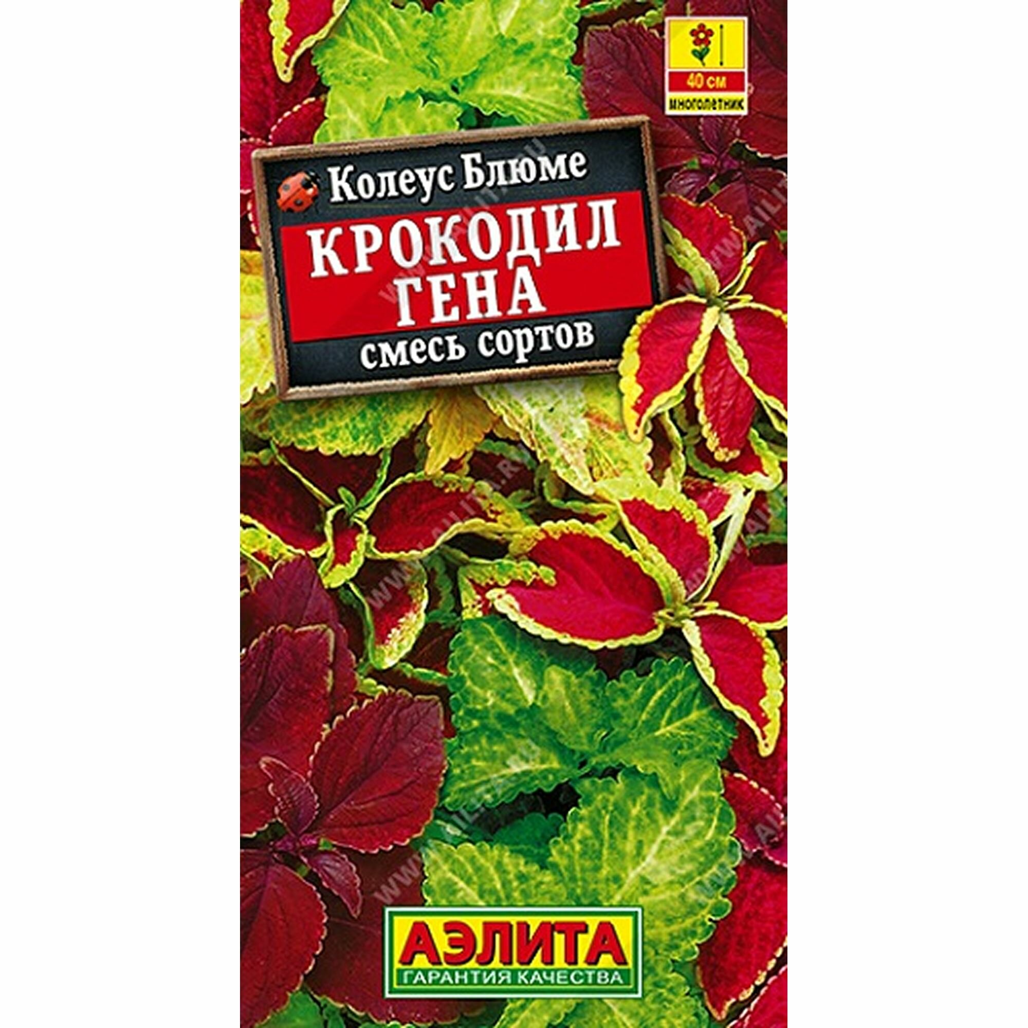 Семена Колеус блюме Крокодил Гена смесь сортов многолетние Аэлита 1 пачка - 0.05г семян