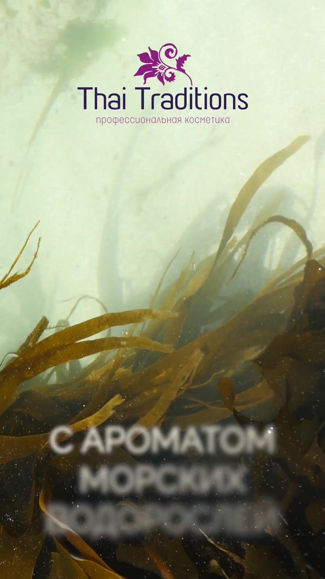 Антицеллюлитное масло для массажа тела с водорослями массажное профессиональное натуральное лимфодренажное Thai Traditions Ламинария, 110 мл. — фото 1