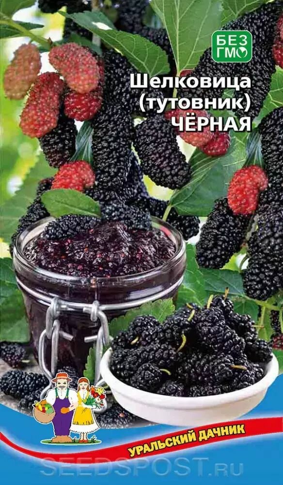 Семена Шелковица  тутовник  Чёрная Уральский дачник Е П