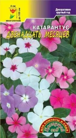 Семена Катарантус Двенадцать месяцев комнатн  Цветущий сад