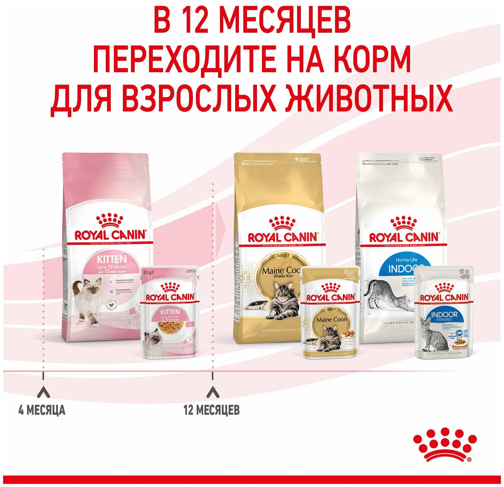 ROYAL CANIN Kitten влажный корм для котят в желе, пауч 85гр x 24шт. - фотография № 14