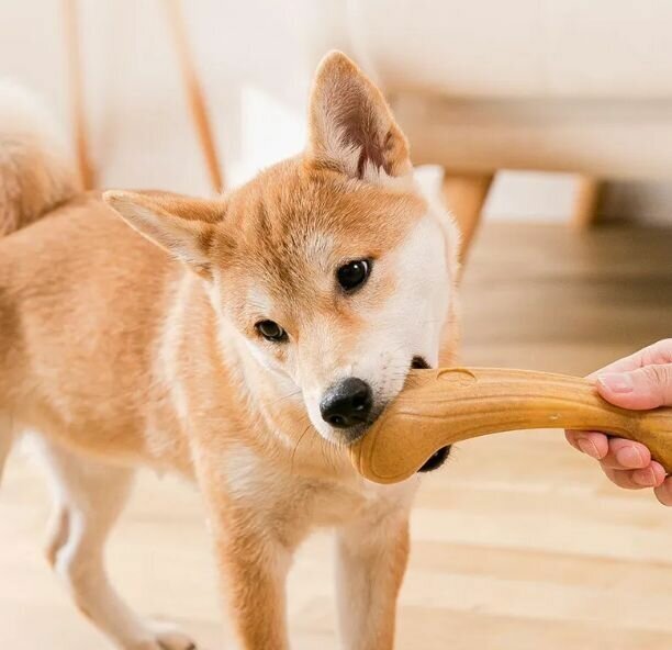 Игрушка для собак, малярная палочка, имитация косточки, из натуральной сосны - фотография № 4