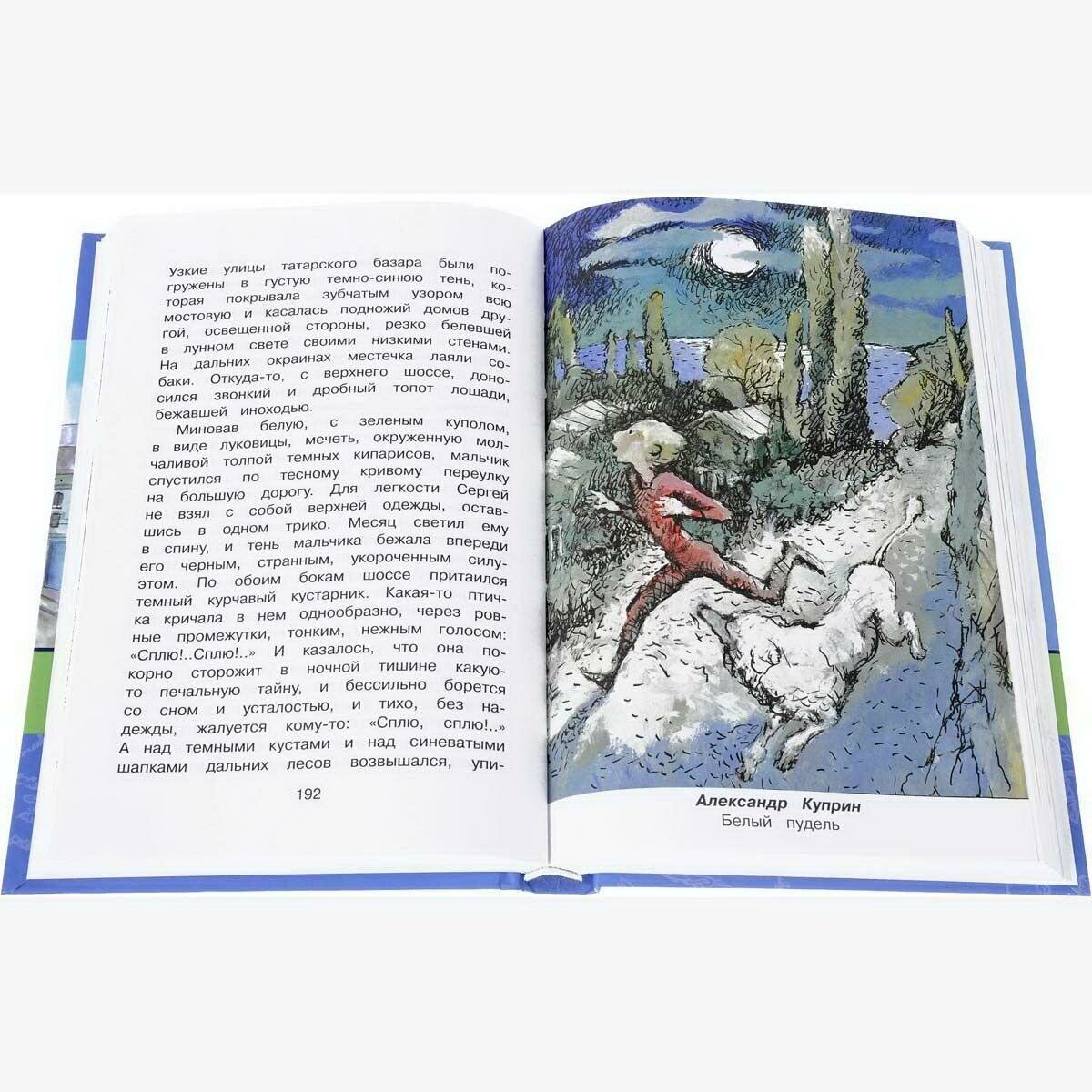 Полная библиотека. 5 класс (Коллектив авторов) - фото №13