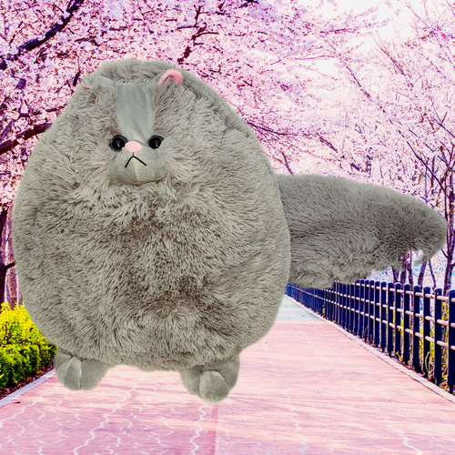 мягкая игрушка кот беляш