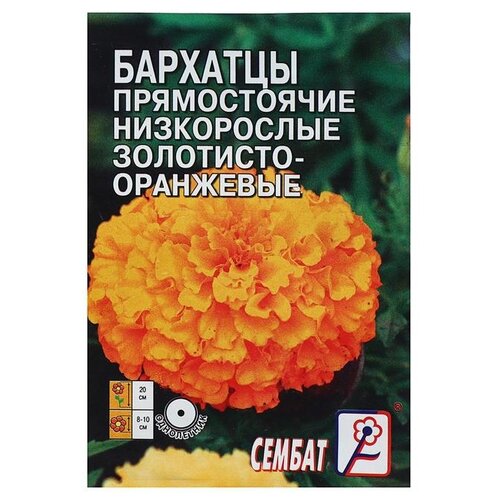 Семена СЕМБАТ Бархатцы прямостоячий золотисто-оранжевый, 0,1 г