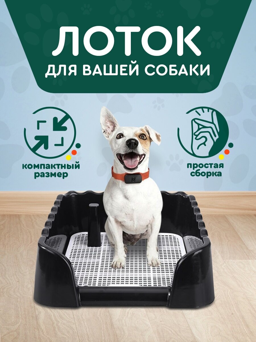 Лоток для собак со стенкой — купить по низкой цене на Яндекс Маркете