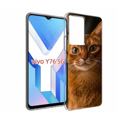 Чехол MyPads порода кошки абисинская для Vivo Y76 5G задняя-панель-накладка-бампер