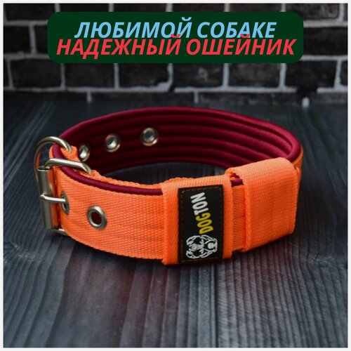 Изображение товара Надежный ошейник для собак. Ширина 4.5 см. Мягкий подклад. Сварная фурнитура.