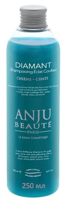 Anju Beauté Шампунь "Сияние Серого и голубых окрасов" (Diamant Shampooing), 1:5 (AN300), 250 мл