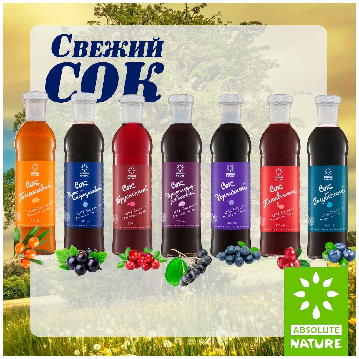 Комбуча Absolute Nature "Kombucha-Classic" без сахара на иван-чае, 0.555 л. - фотография № 4