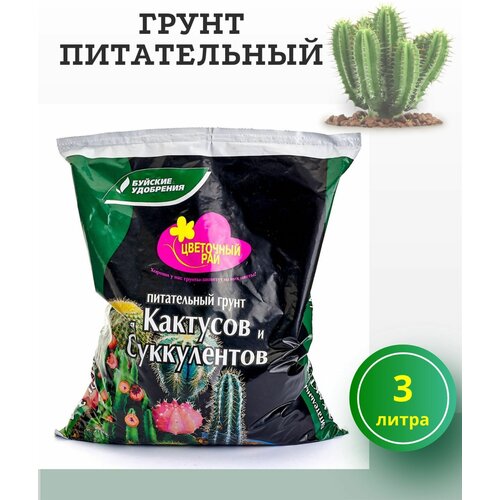 грунт для кактусов и суккулентов цветочный рай 3 л 2 шт Грунт для кактусов и суккулентов 3 л/ Цветочный рай