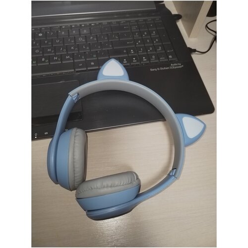 Беспроводные наушники CAT R47M голубой 89000₽