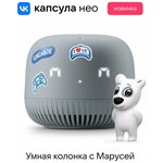 Умная колонка Маруся мини, VK Капсула Нео (с часами) - изображение