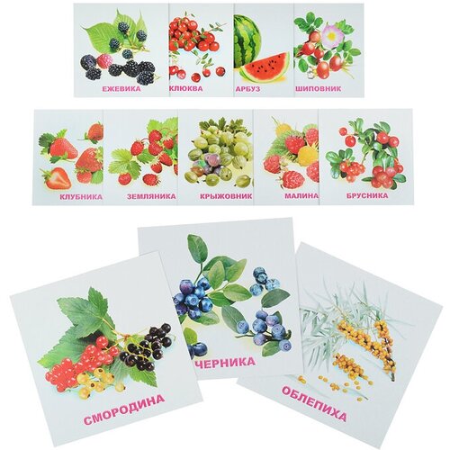 садовые ягоды обучающие карточки Обучающие карточки. Ягоды 0+