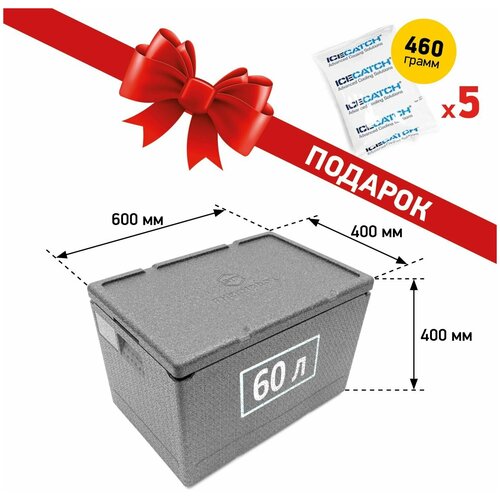фото Термоконтейнер stp 60л. light с аккумуляторами холода (5 шт. 460 гр.) / облегченный ударопрочный термобокс из вспененного полипропилена