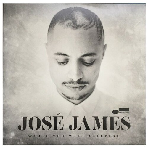 Jose James: While You Were Sleeping (1 CD)